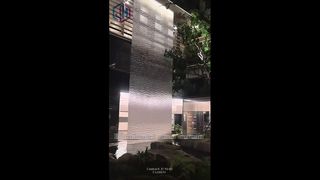 ستارة مائية في توهج الليل