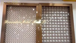 فيديو التصوير الفعلي للشبكة المعدنية المزخرفة